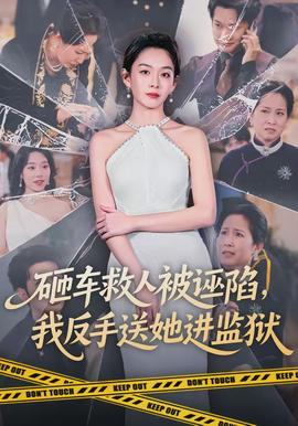 砸车救人被诬陷，我反手送她进监狱